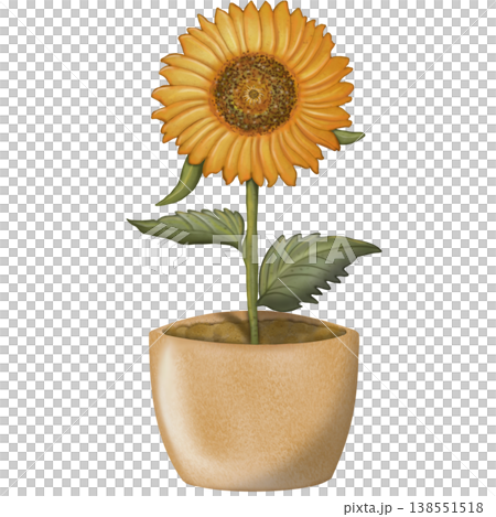 Sunflower hand drawn watercolor spring floral set. Hand drawn yellow flower, leaf, Cute nature decorate element design. 138551518