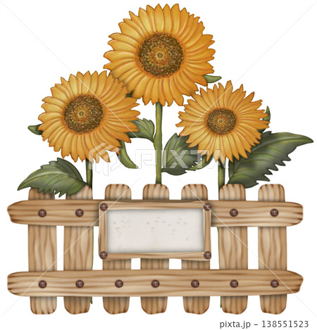 Sunflower hand drawn watercolor spring floral set. Hand drawn yellow flower, leaf, Cute nature decorate element design. Sunflower hand drawn watercolor spring floral set. Hand drawn yellow flower, leaf, Cute nature decorate element design. 138551523