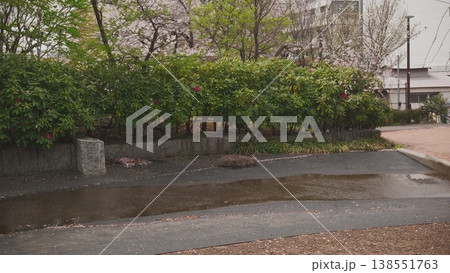雨に濡れた公園の遊歩道 138551763
