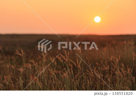 夕日 夕焼け 夕暮れ 138551820