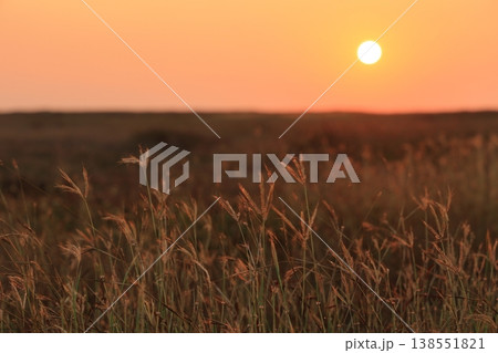 夕日 夕焼け 夕暮れ 138551821