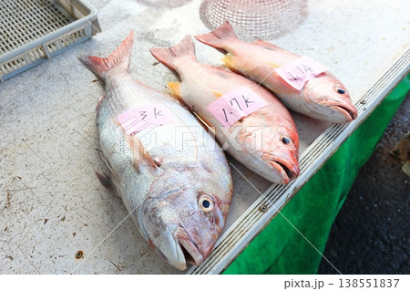 魚介類 シーフード 海の幸 138551837
