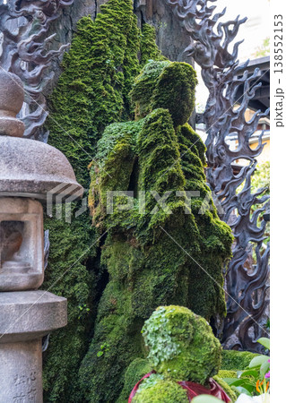 Moss-covered Mizukake Fudo statue at Hozen-ji Temple in Osaka, Japan 138552153