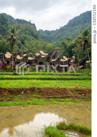 Traditional Toraja village with rice fields in Sulawesi, Indonesia Traditional Toraja village with rice fields in Sulawesi, Indonesia 138552160