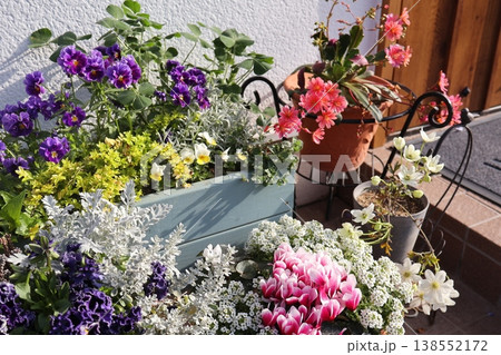 春の花の寄せ植え＆寄せ鉢 138552172