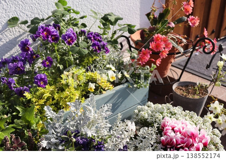 春の花の寄せ植え＆寄せ鉢 138552174