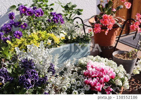 春の花の寄せ植え&寄せ鉢 春の花の寄せ植え&寄せ鉢 138552186