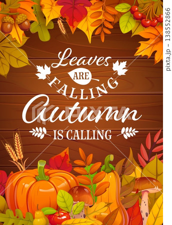 Leaves falling autumn is calling seasonal quote greeting card with pumpkins. Warm vector autumn golden maple leaves, red berries, acorns, apples and wheat stalks for sending seasonal greetings 138552866