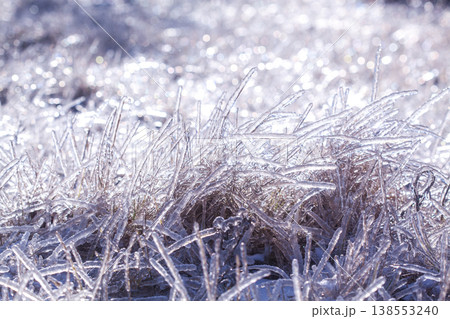 frozen dry grass covered with ice in the rays of the bright sun. macro frozen dry grass covered with ice in the rays of the bright sun. macro 138553240