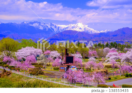 谷川連峰をバックにした満開の桜 谷川連峰をバックにした満開の桜 138553435