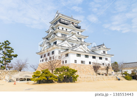 冬の広島県福山市　日本100名城　福山城　天守 138553443