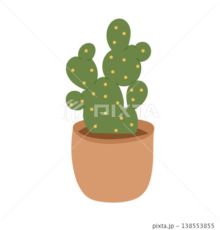 Small cactus houseplant in terracotta pot with yellow dots Small cactus houseplant in terracotta pot with yellow dots 138553855