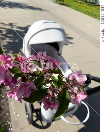 Pink cherry blossoms with baby stroller on sunny sidewalk Pink cherry blossoms with baby stroller on sunny sidewalk 138554034