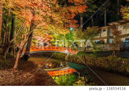 森町の遠江国一宮小國神社の紅葉の風景(静岡県) 森町の遠江国一宮小國神社の紅葉の風景(静岡県) 138554516