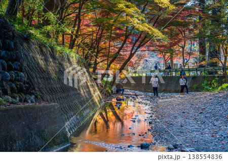 森町の遠江国一宮小國神社の紅葉の風景(静岡県) 138554836