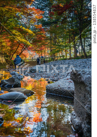 森町の遠江国一宮小國神社の紅葉の風景(静岡県) 森町の遠江国一宮小國神社の紅葉の風景(静岡県) 138554837