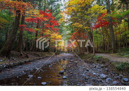 森町の遠江国一宮小國神社の紅葉の風景(静岡県) 138554840