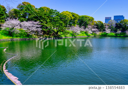 東京都 千鳥ヶ淵 満開の桜 東京都 千鳥ヶ淵 満開の桜 138554883