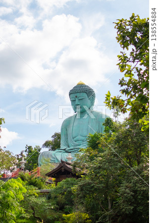 Large Great Buddha statue surrounded by green trees under cloudy sky 138554884