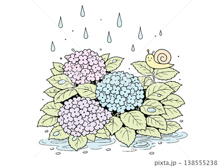 紫陽花とカタツムリの雨の日イラスト 138555238