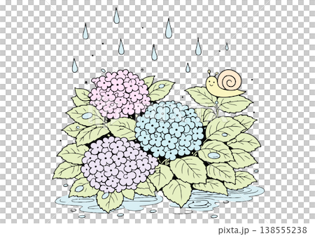 紫陽花とカタツムリの雨の日イラスト 138555238