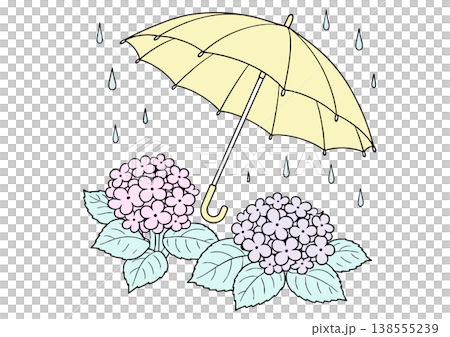 Illustration of hydrangeas and an umbrella 138555239
