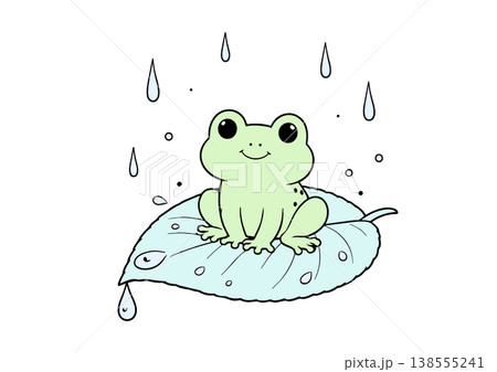 葉っぱの上のカエルと雨 138555241