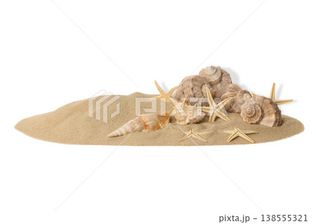 Seashells and starfish scattered on sandy surface, PNG Seashells and starfish scattered on sandy surface, PNG 138555321