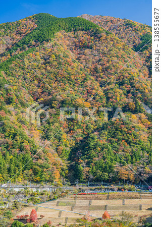 川根本町の長島ダム周辺の紅葉の風景(静岡県) 川根本町の長島ダム周辺の紅葉の風景(静岡県) 138555677