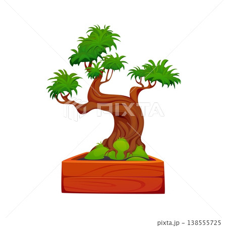 Cartoon Japanese garden Bonsai tree plant in wooden pot, vector icon. Bonsai pine tree or Japanese miniature plant decoration for Zen gardening and Japan culture art tradition of oriental garden 138555725