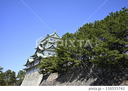 春の名古屋城天守閣（26年3月下旬撮影） 138555742