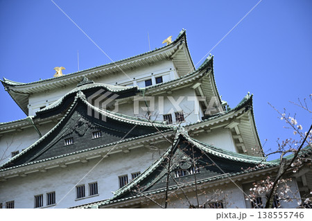 春の名古屋城天守閣(26年3月下旬撮影) 春の名古屋城天守閣(26年3月下旬撮影) 138555746
