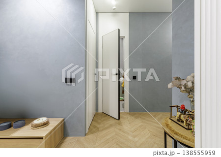 Modern Apartment Entryway with Decor and Hidden Doors Modern Apartment Entryway with Decor and Hidden Doors 138555959