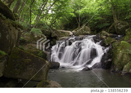 山鶏滝(やまどりのたき) 山鶏滝(やまどりのたき) 138556239