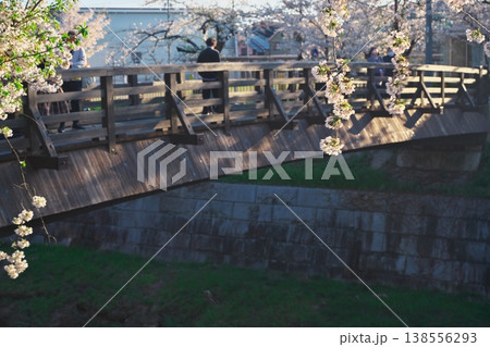 桜満開の山崎川四季の道と木橋の鼎小橋 138556293