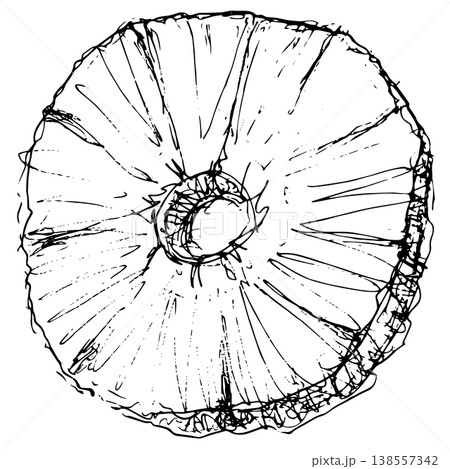 Hand drawn pineapple piece ring fruit illustration sketch clipart vector Hand drawn pineapple piece ring fruit illustration sketch clipart vector 138557342