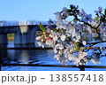 日本　さいたまの桜 138557418