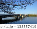 日本　さいたまの桜 138557419