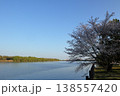 日本　さいたまの桜 138557420