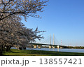 日本　さいたまの桜 138557421