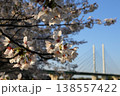 日本　さいたまの桜 138557422