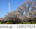 日本　さいたまの桜 138557424
