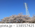 日本　さいたまの桜 138557425