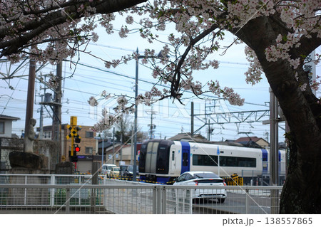 満開の桜の下を行く空港特急 138557865