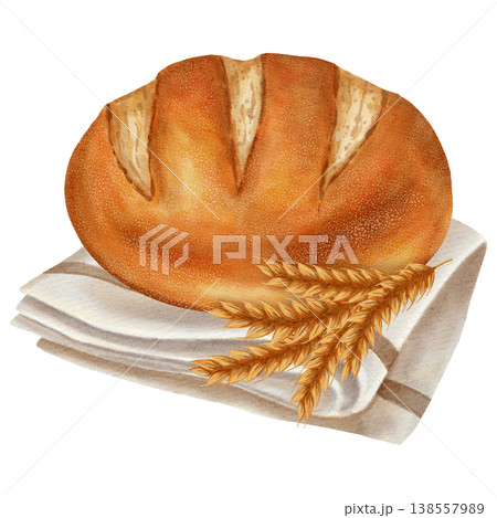 Watercolor illustration of a soft, round loaf of white bread. Bakery products. Perfect for bakery menus, food packaging, rustic kitchen decor, and simple, classic baking concepts. 138557989