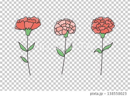 カーネーションの手描きイラストセット カーネーションの手描きイラストセット 138558023