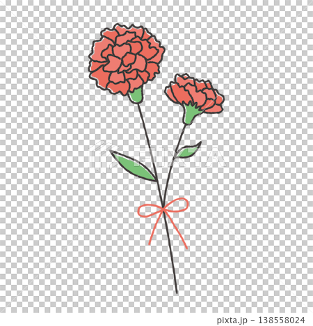 カーネーションの手描きイラスト カーネーションの手描きイラスト 138558024