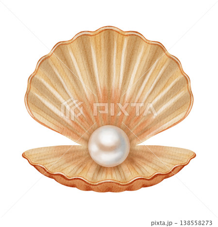 Watercolor illustration with a marine theme, featuring various shells, a spiral scallop shell, an open shell with a pearl. Children's, nautical, travel themes. Suitable for design, prints, postcards Watercolor illustration with a marine theme, featuring various shells, a spiral scallop shell, an open shell with a pearl. Children's, nautical, travel themes. Suitable for design, prints, postcards 138558273
