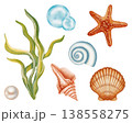Collection watercolor illustrations of marine elements, including various shells, pearl in a shell, starfish, seaweed. Children's, marine, and travel themes. Suitable for prints, postcards, sea travel 138558275