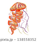 Watercolor illustration of a jellyfish. Cute marine creature. Bright illustrations, suitable for cheerful summer designs, textiles, summer and children's clothing. Print for babies. 138558352